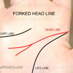 forked head line