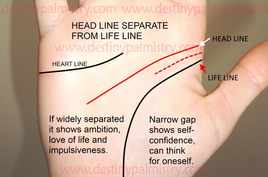 Forked Head Line Meaning in Palmistry Destiny Palmistry