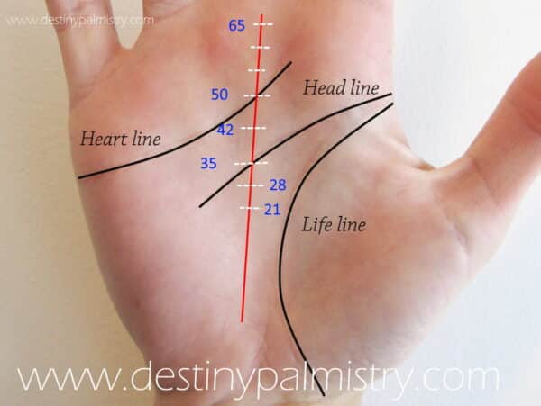 lifespan scale on the fate line, how to see life changes in your palm