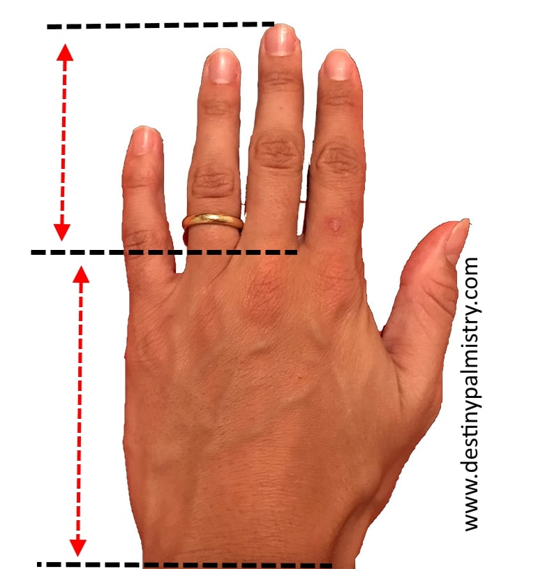 how to tell finger length in palmistry