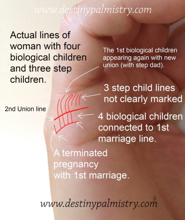 Children Lines in Palmistry Actual Meaning Destiny Palmistry
