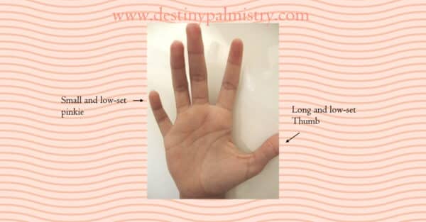 small pinkie meaning in palmistry, low-set pinkie image