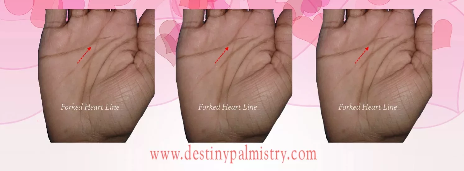 forked heart line