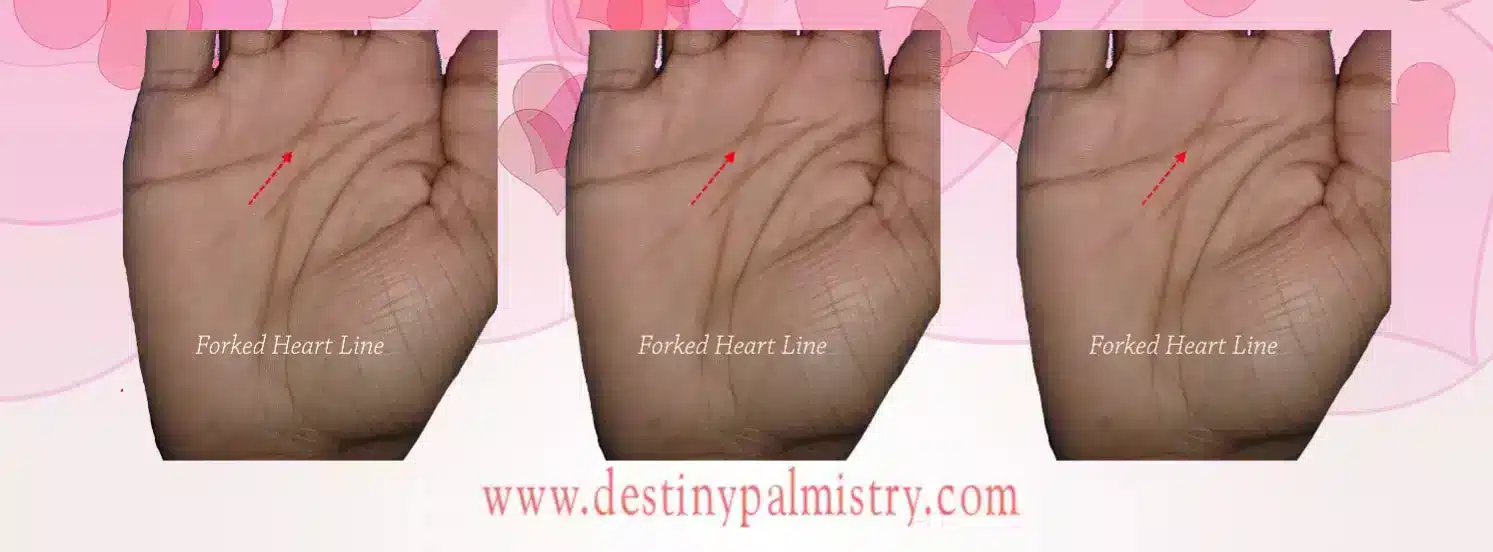 Type of Heart Line on the Palm, Which Do You Have?