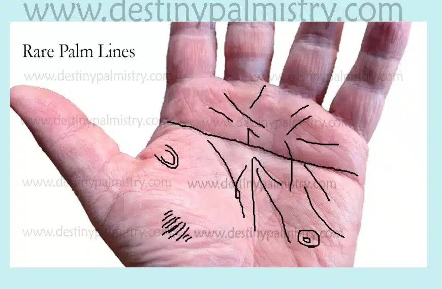Rare Palm Lines That You Might Have