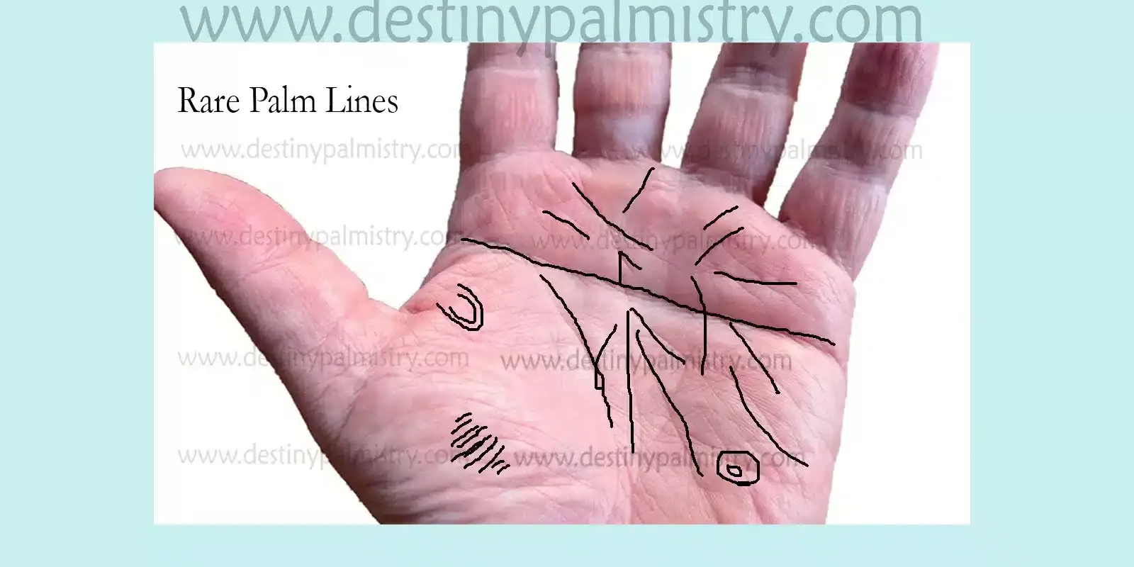 rare palm lines