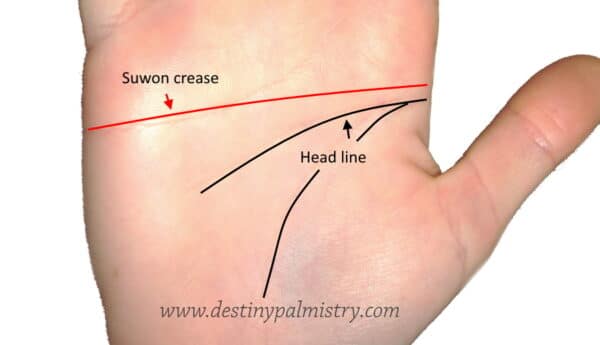 suwon crease on the palm