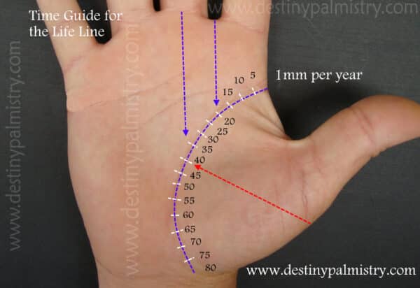 palmistry guide