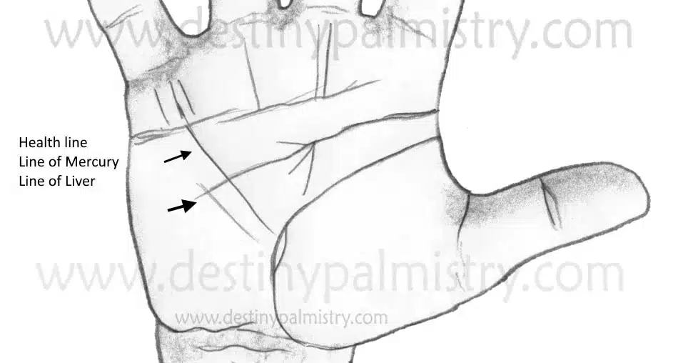 Health Line Meaning and Marks on the Palm