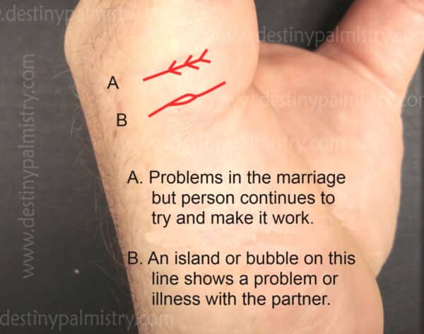 meaning of marks on the relationship line