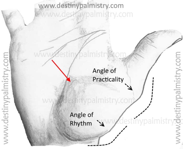 thumb-angle-meanings-in-palmistry-destiny-palmistry