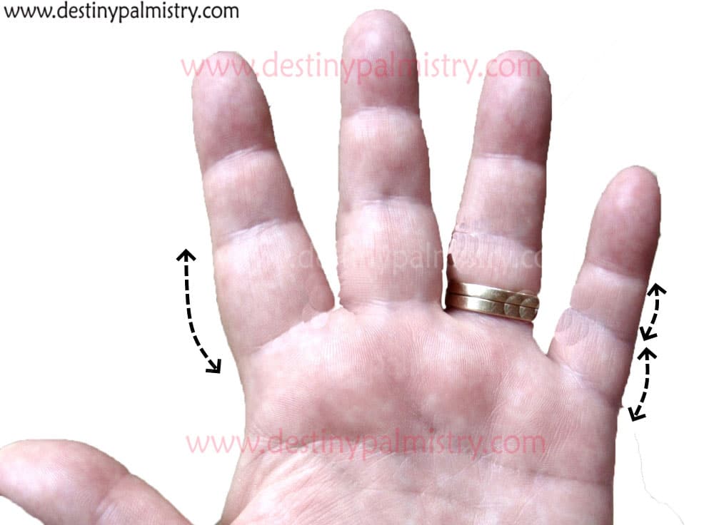 Finger Phalanges Meaning in Palmistry Destiny Palmistry