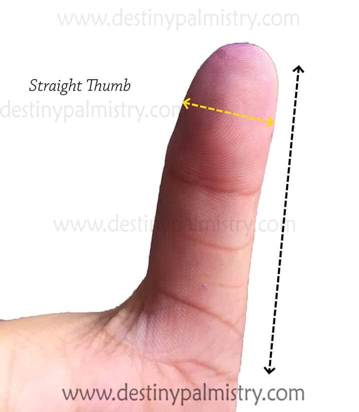 Stiff Thumb Meaning in Hand Analysis Destiny Palmistry