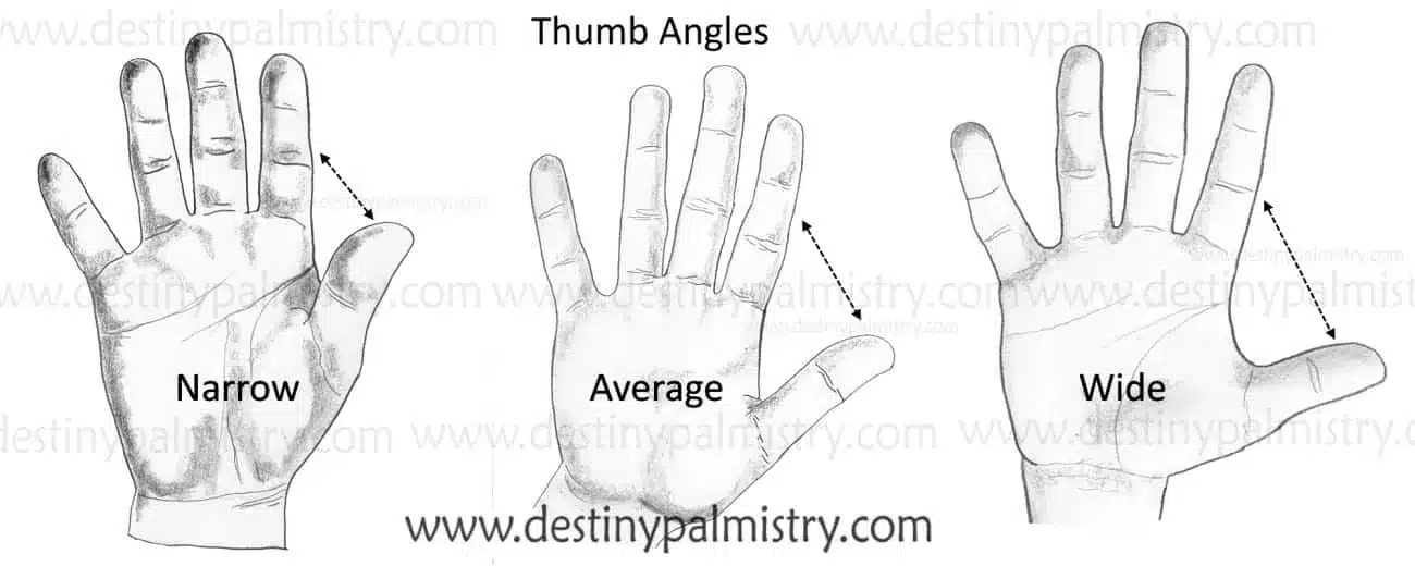 Thumb Angle Meanings in Palmistry