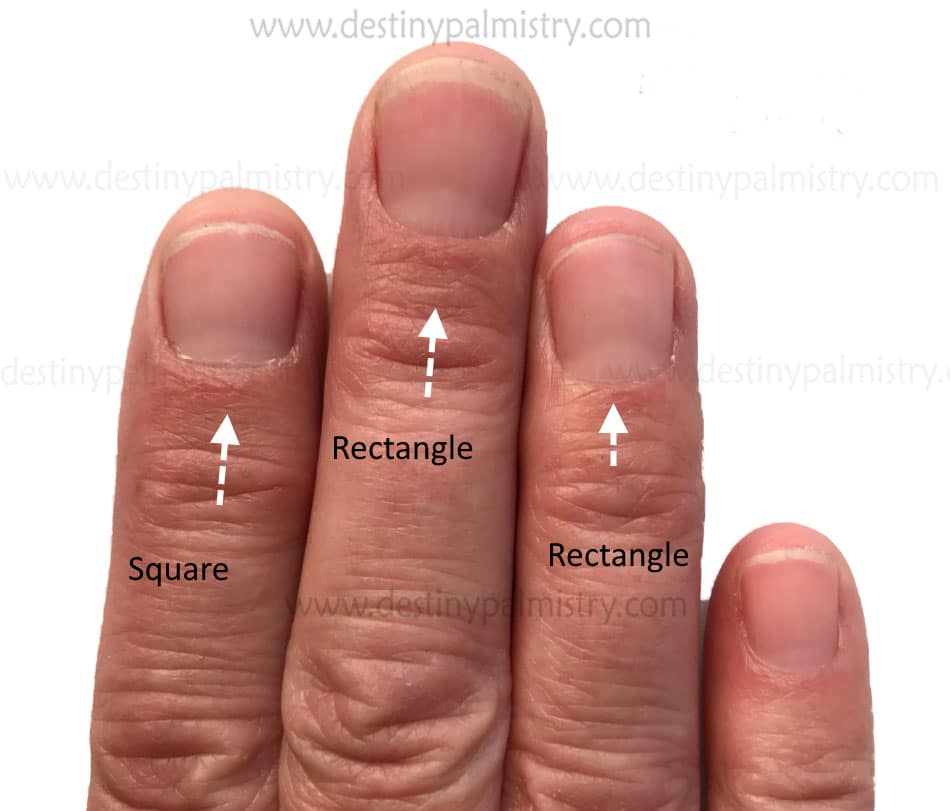 Fingernail Shape In Health and Character Destiny Palmistry