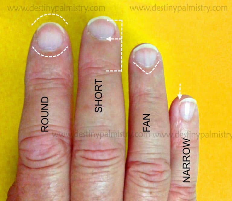 Fingernail Shape In Health and Character Destiny Palmistry