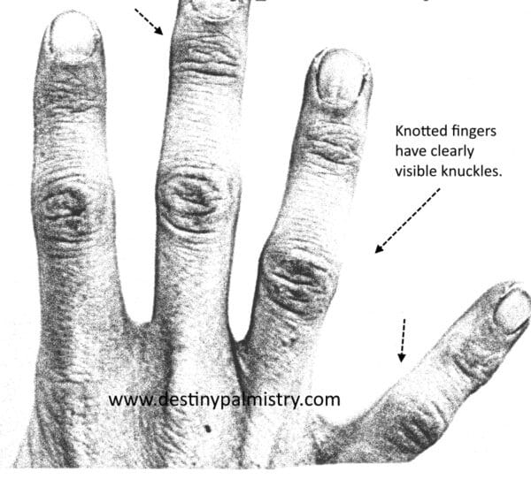 image of knotted fingers in palmistry by Sari Puhakka