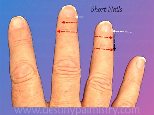 nail size