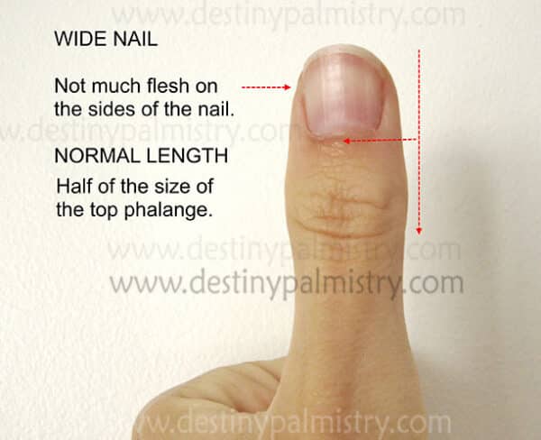 wide fingernail meaning