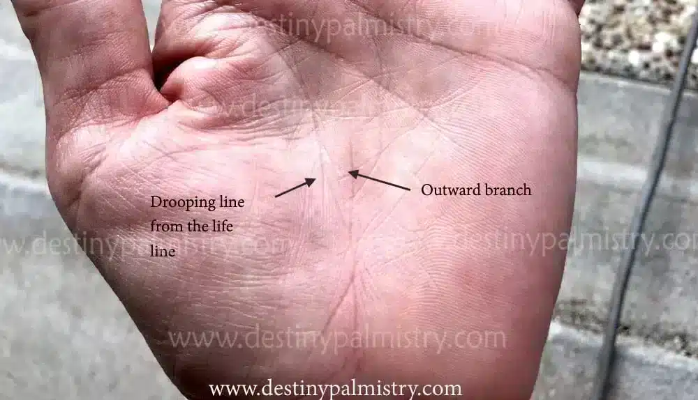 Branch Lines on the Palm Signify Key Issues