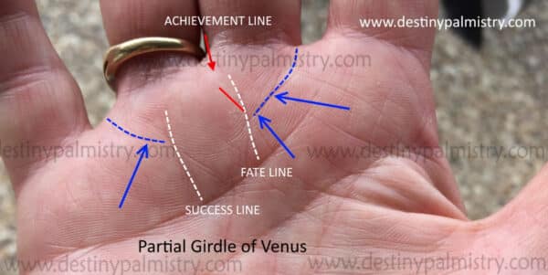 partial  girdle of Venus, success line, fate line, achievement line