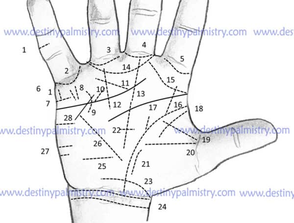 minor lines in palmistry