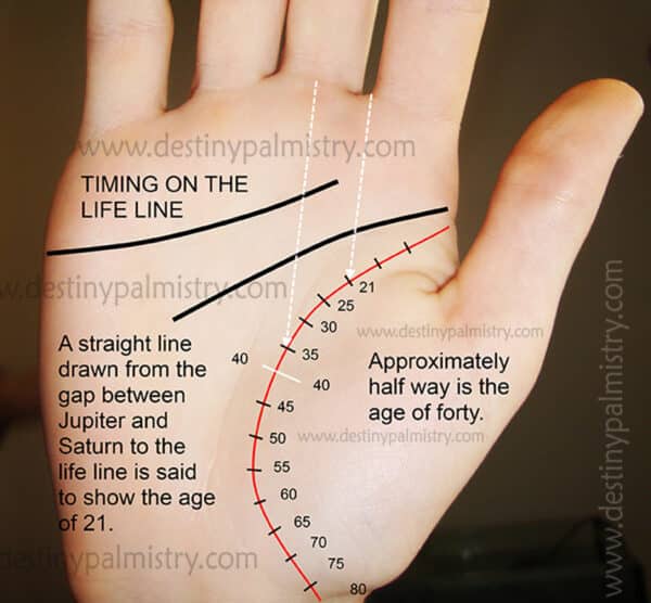timescale on the life line in palmistry