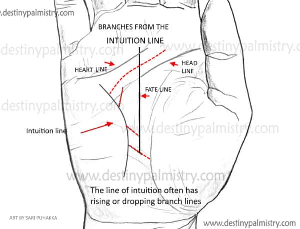 branch line from the intuition line