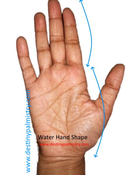 water hand shape, destiny palmistry