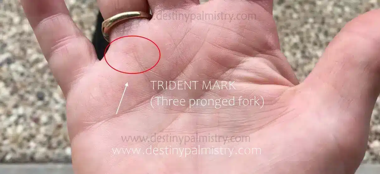 Trident Mark Meaning on the Palm Lines