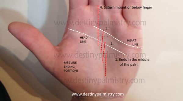 lines in the middle of the palm, palmistry lines