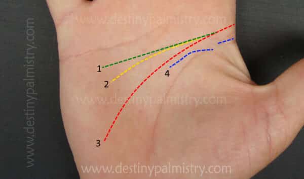 four types of head line on the palm