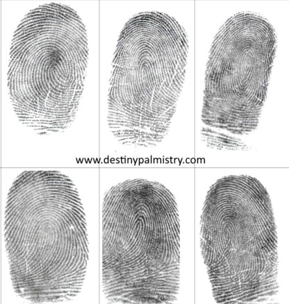 fingerprints by destiny palmistry