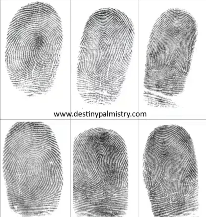 fingerprints by destiny palmistry