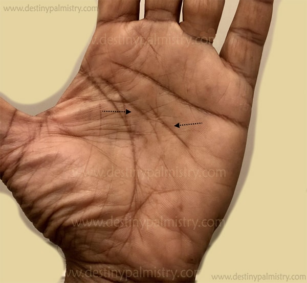 split head line palmistry