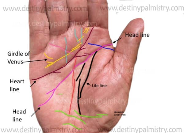 various palm lines, long head line, long heart line, two life lines