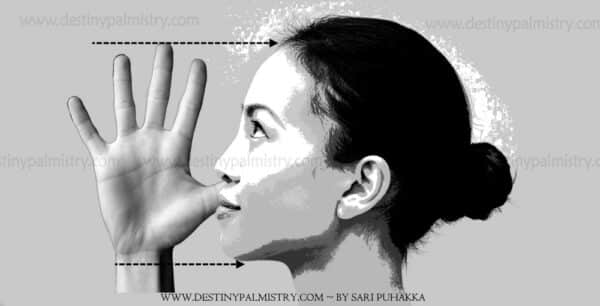 quick and easy palm reading, hand size in palmistry, big or small hand in palmistry, normal size hand