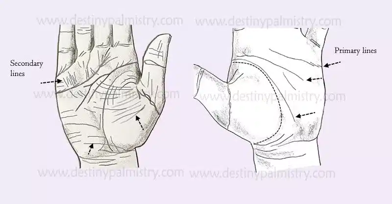 sensitivity in the hands