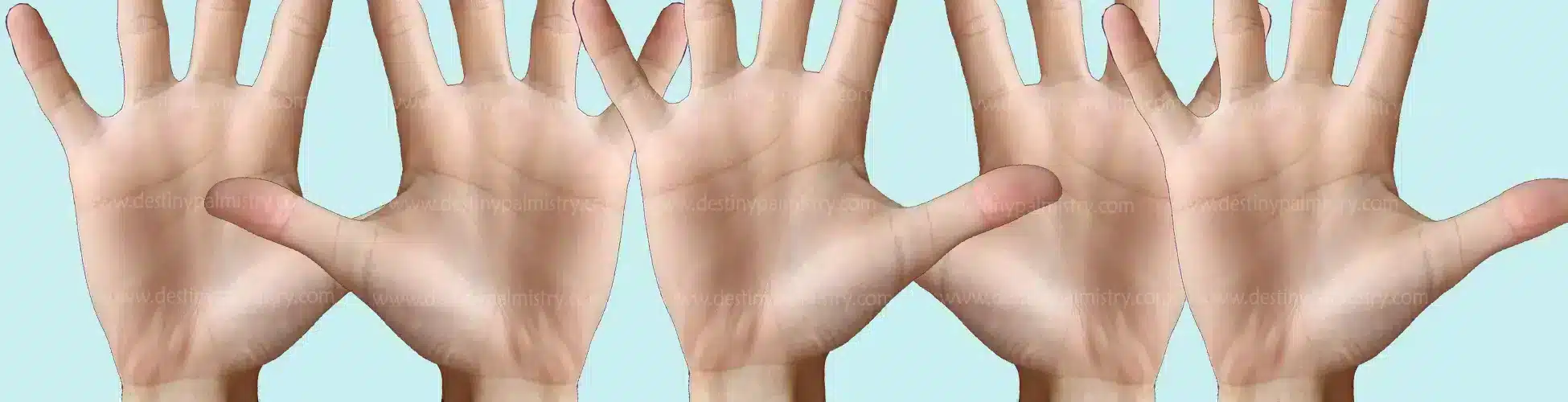 Long Fingers Meaning in Palmistry