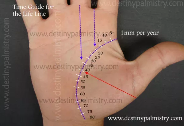 timing on life line palmistry