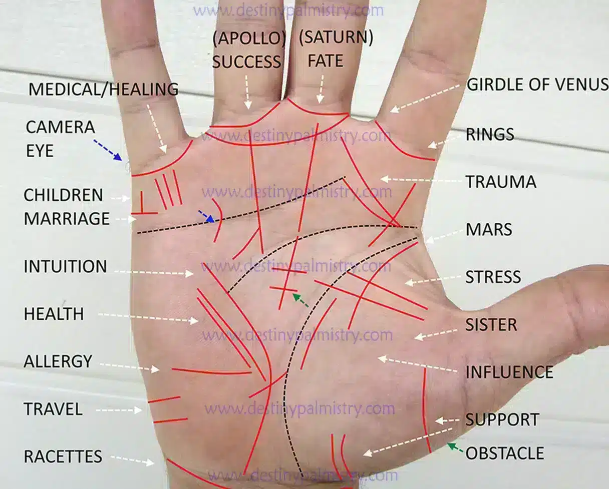 astrology and palmistry