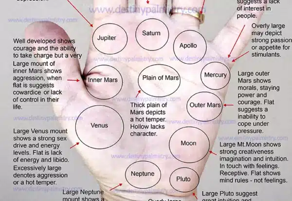 lines of destiny, sari puhakka, expert palm reader, modern palmistry