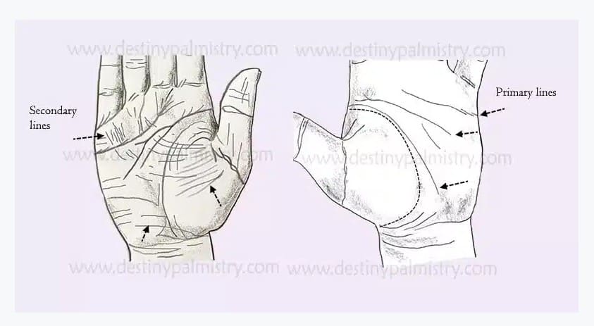 sensitivity signs in the hands