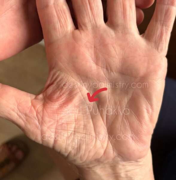 my dads left hand, aging and palm lines, health in the hands