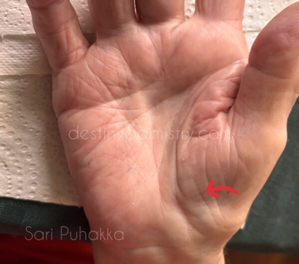 copyright Sari Puhakka, aging and palm lines